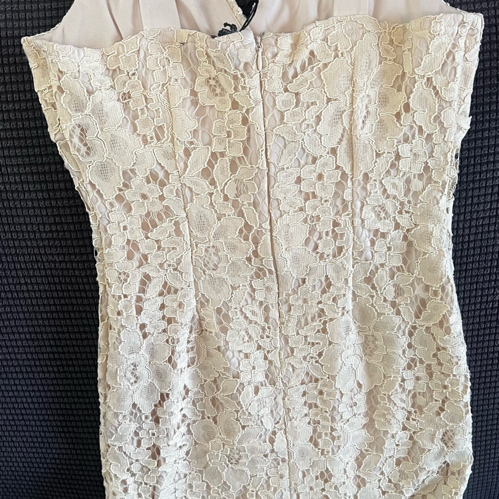 Elegant Lace Strapless Dress